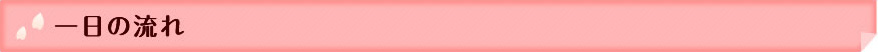 一日の流れ