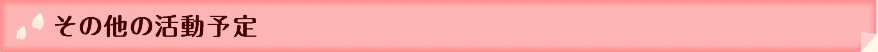 その他の活動予定